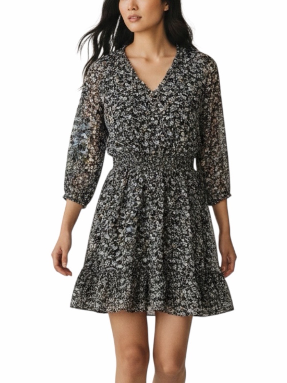 The Raconteur Floral Chiffon Ruffle Dress Black Long Sleeve Petite Small SP